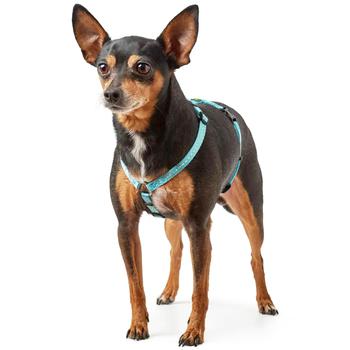 Hunter Tripoli Nylon Dog Harness 32-44cm/10mm Light Blue - buy, prices for MasterZoo - photo 3