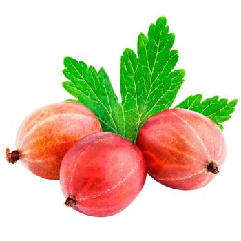 Gooseberry - buy, prices for Za Raz - photo 1