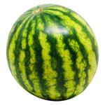 Minipul Watermelon