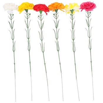 Carnation Slice 50cm - buy, prices for Auchan - photo 1