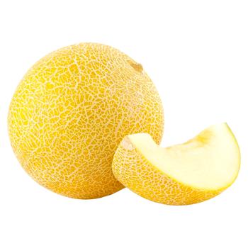 Galia Melon