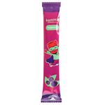 Alexis Fruit Blueberry Pastille 17g