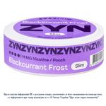 Паучі нікотиновмісні ZYN Blackcurrant Frost Slim 20шт