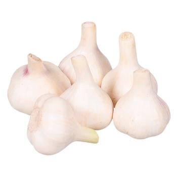 Garlic Ukraine - buy, prices for Tavria V - photo 1