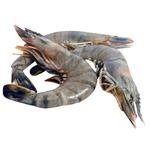 Black Tiger Shrimp 16/20
