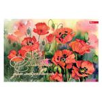 Альбом Фолдер для рисования А4 24 страниц