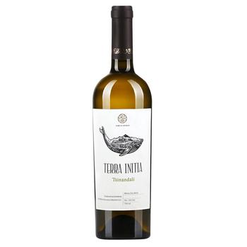 Terra Initia Tsinandali White Dry Wine 13% 0.75l - buy, prices for NOVUS - photo 1