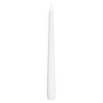 Bolsius Candle 24.5х2.4cm White Mica