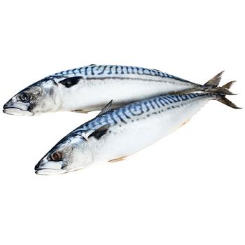 Frozen Mackerel 18kg