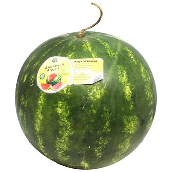 Dunayskyy Agrariy Organic Watermelon - buy, prices for MegaMarket - photo 1