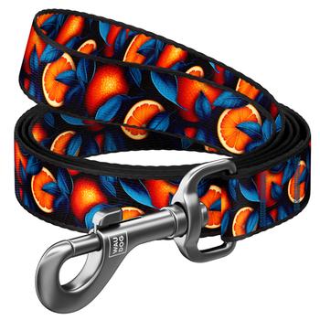 Поводок для собак Waudog нейлоновый S 122см/15мм с рисунком апельсины - купить, цены на NOVUS - фото 1