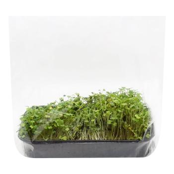 Arugula Microgreens 200g