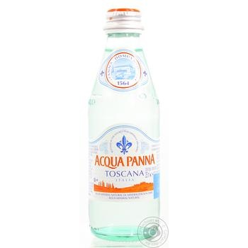 Water non-carbonated 250ml glass bottle - buy, prices for MegaMarket - photo 1
