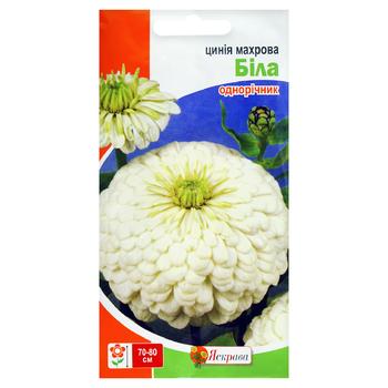 Насіння Яскрава Цинія махрова бiла 0,5г - купити, ціни на Auchan - фото 1