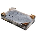 Blueberries 1kg