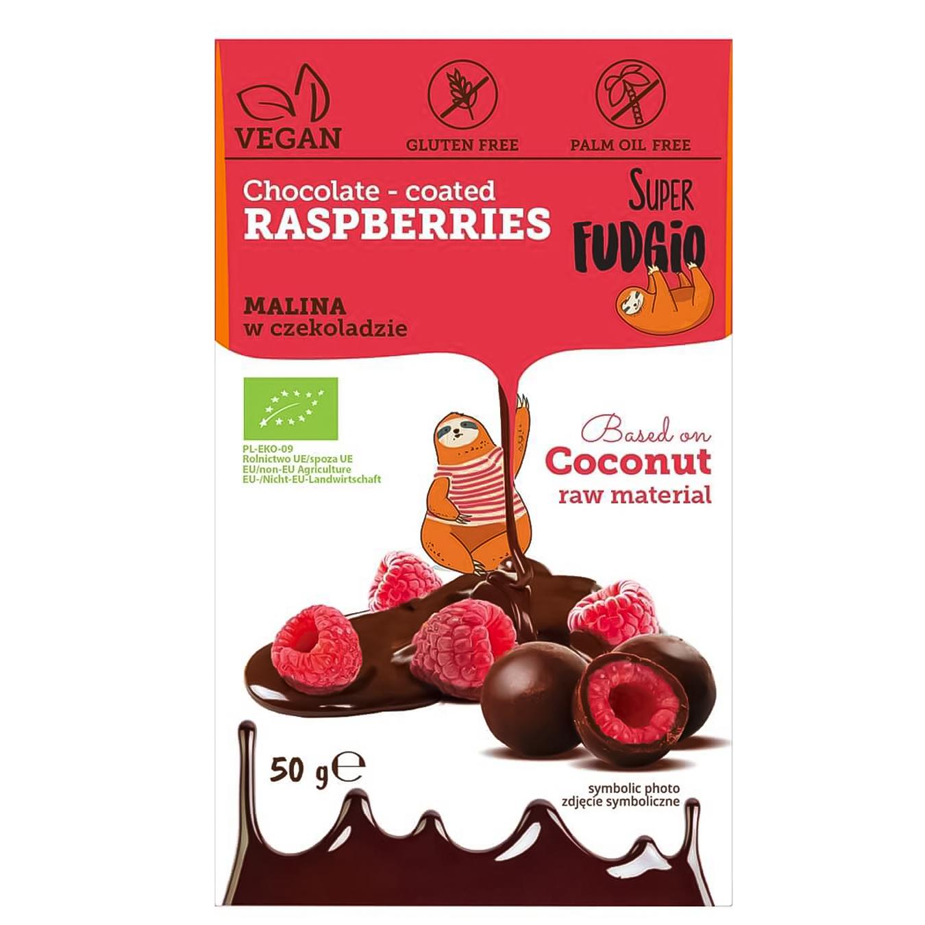 

Конфеты Super Fudgio сублимированная малина в шоколаде 50г