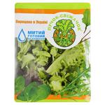 Puchok-Svizhachok Lollo Bionda Baby Lettuce 75g