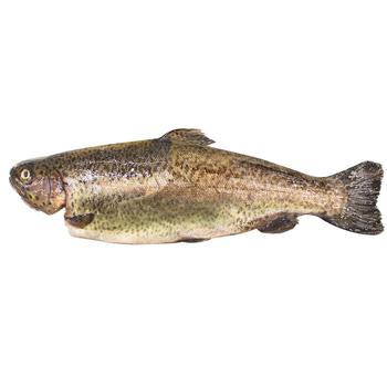 Trout 1-1.3kg - buy, prices for METRO - photo 1