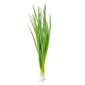 Green Onion Bunch - buy, prices for NOVUS - photo 1