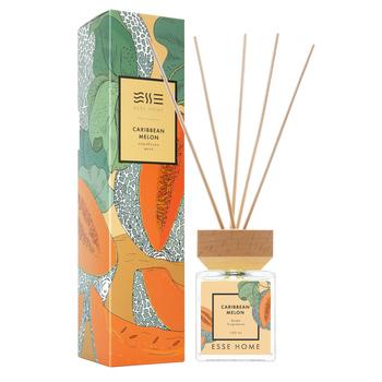 Esse Caribbean Melon Reed Diffuser 100ml - buy, prices for NOVUS - photo 1