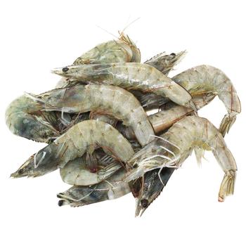 Fisherman's Choice Frozen Black Tiger Shrimp 16/20 700g