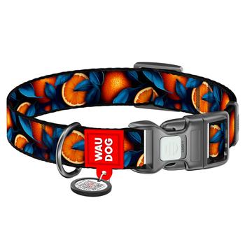 Waudog Nylon Dog Collar with QR Passport 25-35cm/15mm with Design of Oranges