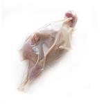 Meat fresh