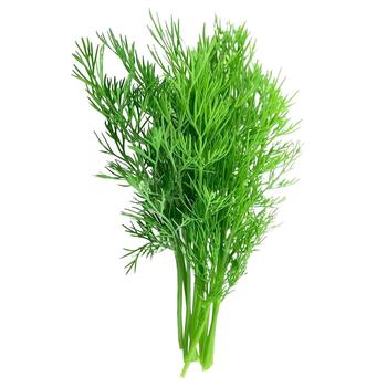 Dill