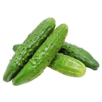 Cucumber - buy, prices for - photo 3