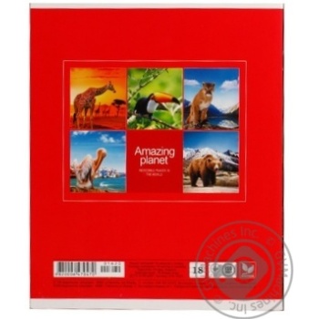Зошит Школярик 18 аркушів лінія Art.018-1678L х10 купити, ціни на МегаМаркет - фото 4