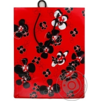 Package 1pc - buy, prices for MegaMarket - photo 1