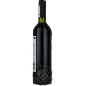 Didi Godori Saperavi Dry Red Wine - buy, prices for NOVUS - photo 2