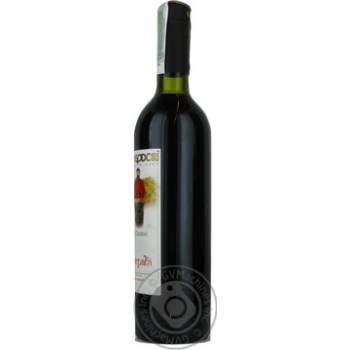 Didi Godori Saperavi Dry Red Wine - buy, prices for NOVUS - photo 3