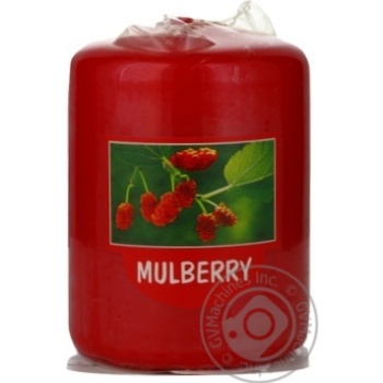 Candle Bolsius mulberry Poland - buy, prices for NOVUS - photo 5