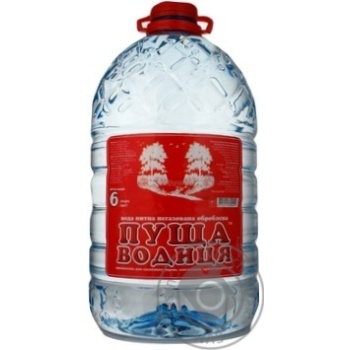 Still natural mineral water Puscha Vodytsya 6000ml - buy, prices for NOVUS - photo 1