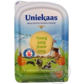 Cheese gouda Uniekaas hard 48% 175g Holland - buy, prices for MegaMarket - photo 4