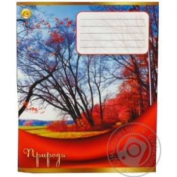 Notebook Tetrada lined 96pages - buy, prices for MegaMarket - photo 1