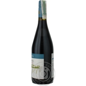 wine merlot shabo 13% 700ml glass bottle Ukraine - buy, prices for - photo 4