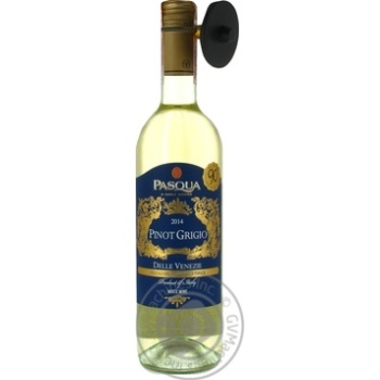 Вино Pasqua Pinot Grigio сухе біле 0.75л х6 купить, цены на МегаМаркет - фото 1