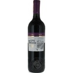 Wine red semisweet 13% 750ml glass bottle Spain