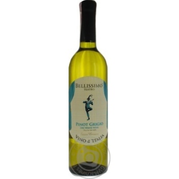 Bellissimo Teatro Secco Rosso Vino d'Italia Dry White Wine - buy, prices for NOVUS - photo 1