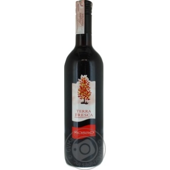 Wine rosso red dry 10.5% 750ml glass bottle Italy - buy, prices for MegaMarket - photo 1