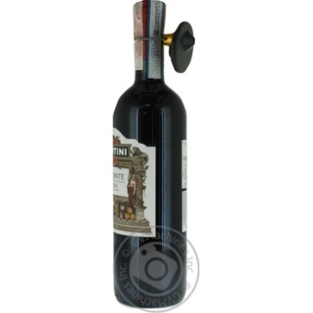 Martini Piemonte Rosso Dry Red Wine 0.75l - buy, prices for MegaMarket - photo 2