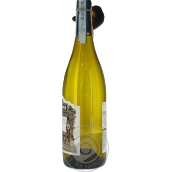 Вино Martini Piemonte Bianco белое сухое 0,75л купить, цены на МегаМаркет - фото 2
