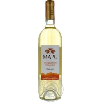 Wine chardonnay Rotschild white dry 13% 2009year 750ml glass bottle Chili - buy, prices for MegaMarket - photo 1