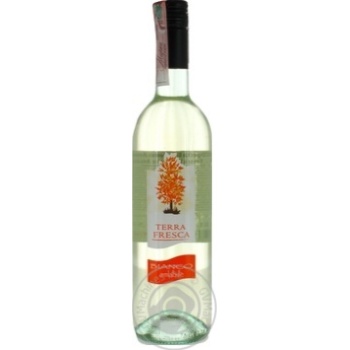 Вино Terra Fresca Bianco біле напівсолодке 10,5% 0,75л купити, ціни на МегаМаркет - фото 1