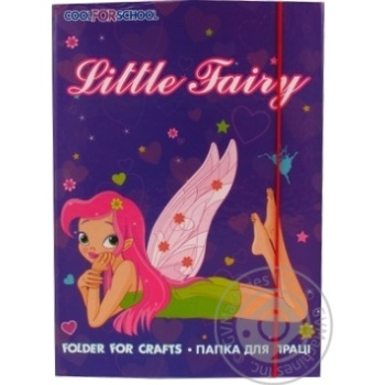 Cool for school  Folder for labor - buy, prices for - photo 2