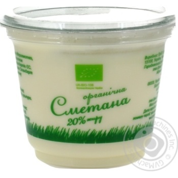 Sour cream EtnoProduct organic 20% 250g - buy, prices for MegaMarket - photo 1