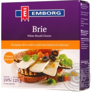 Сыр Emborg Brie с плесенью 50% 125г купить, цены на МегаМаркет - фото 1