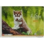 Альбом Школярик для малювання 20аркушів Art.472023 х10